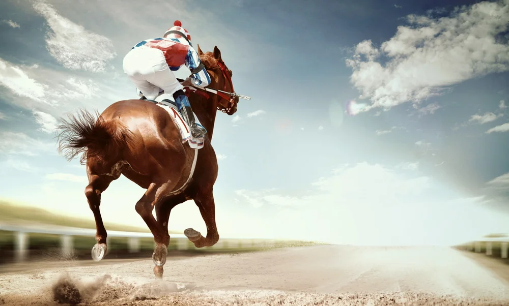 How to bet on horse racing?